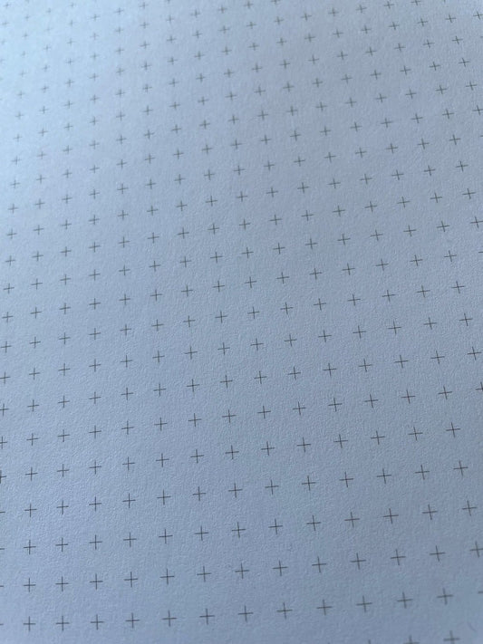 Close-up of a blank dot-grid page inside the Venice Spiral Notebook