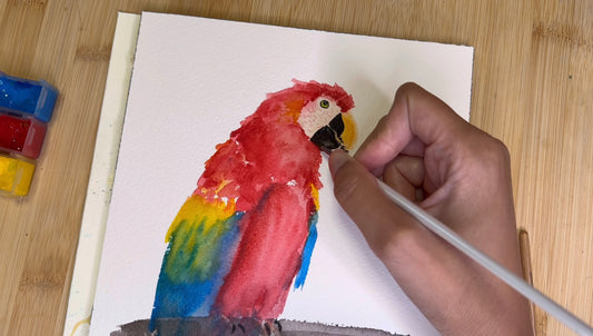 Review of l'Aquarelle Sennelier: painting a macaw