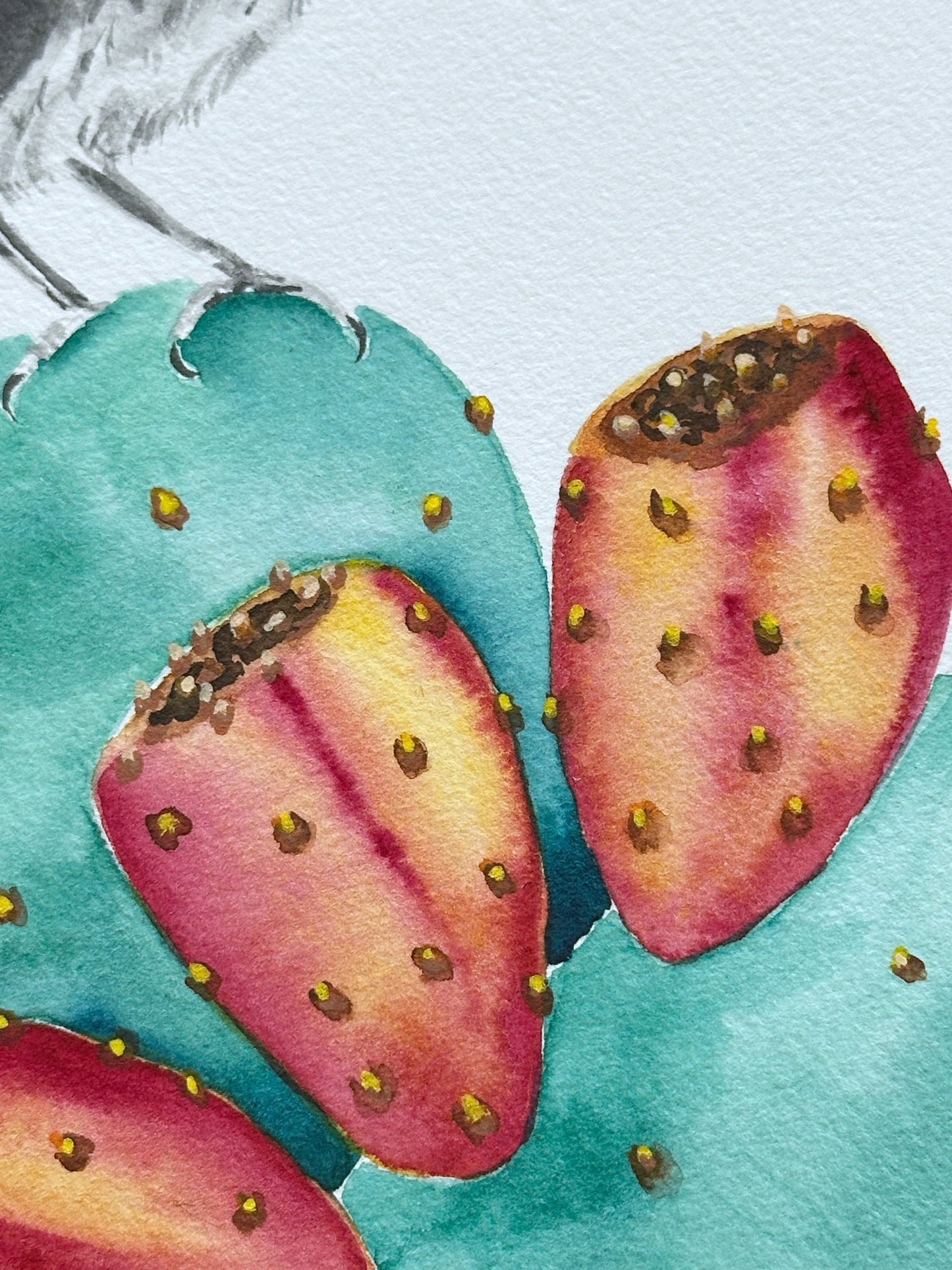 Cactus