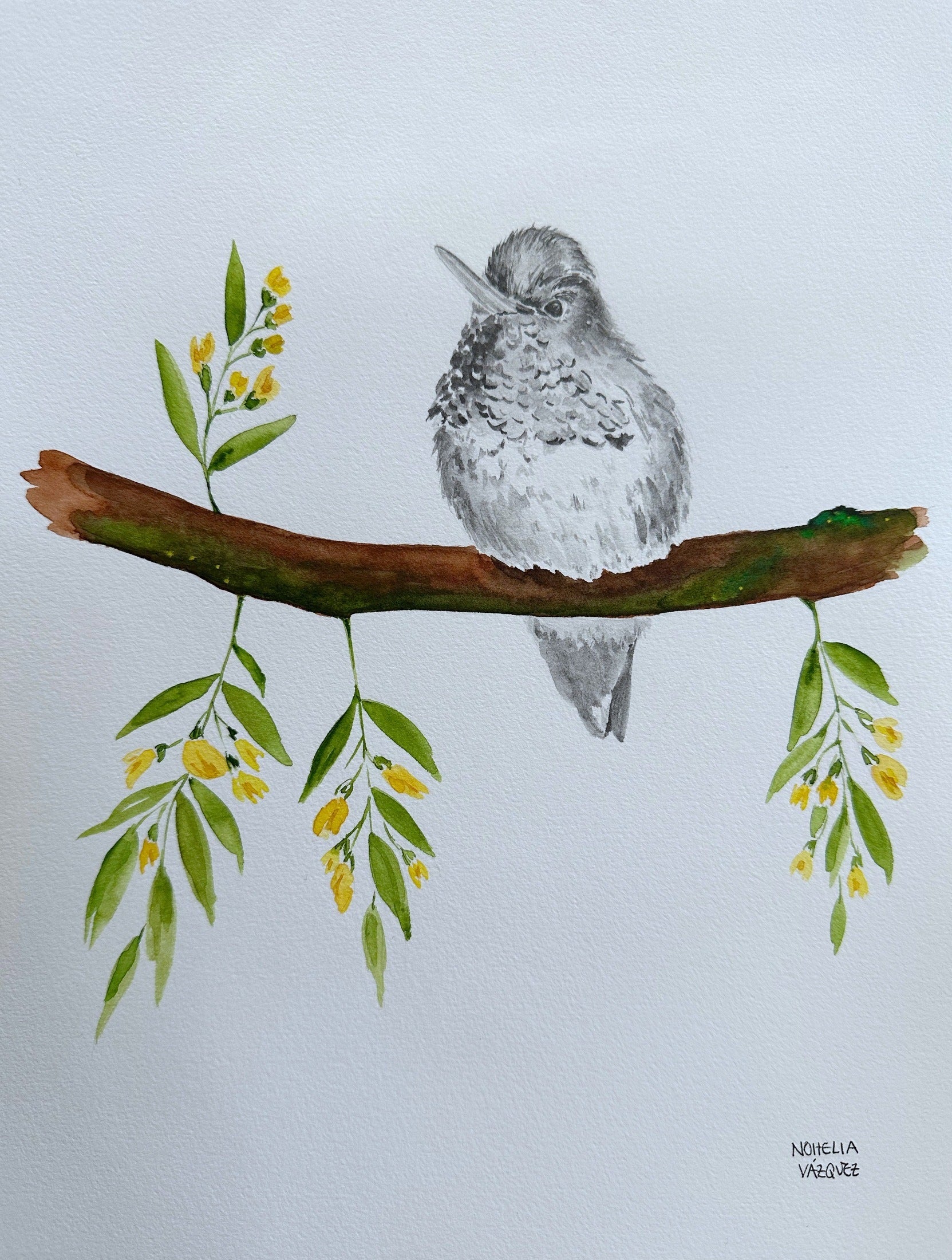 Hummingbird