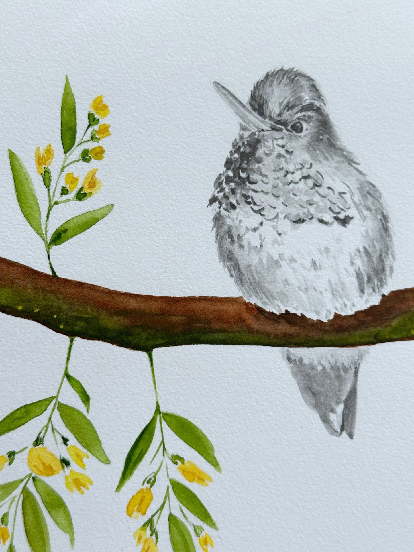 Hummingbird