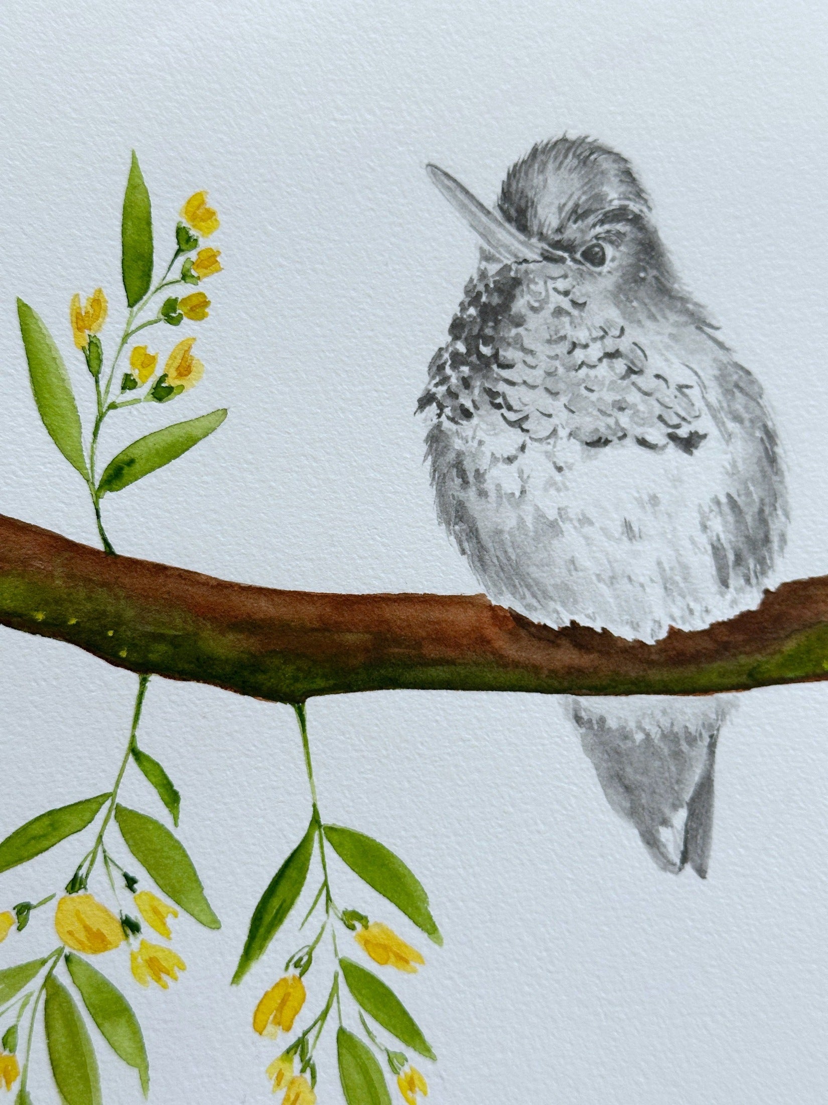 Hummingbird