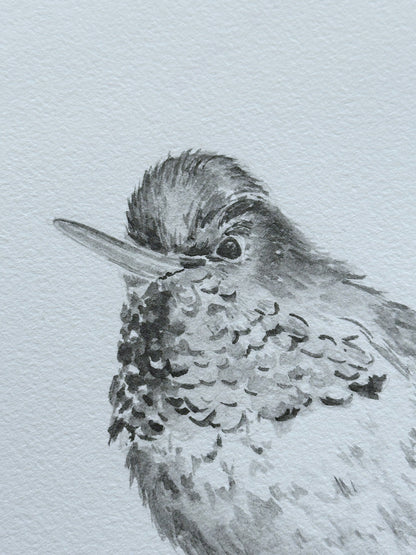 Hummingbird