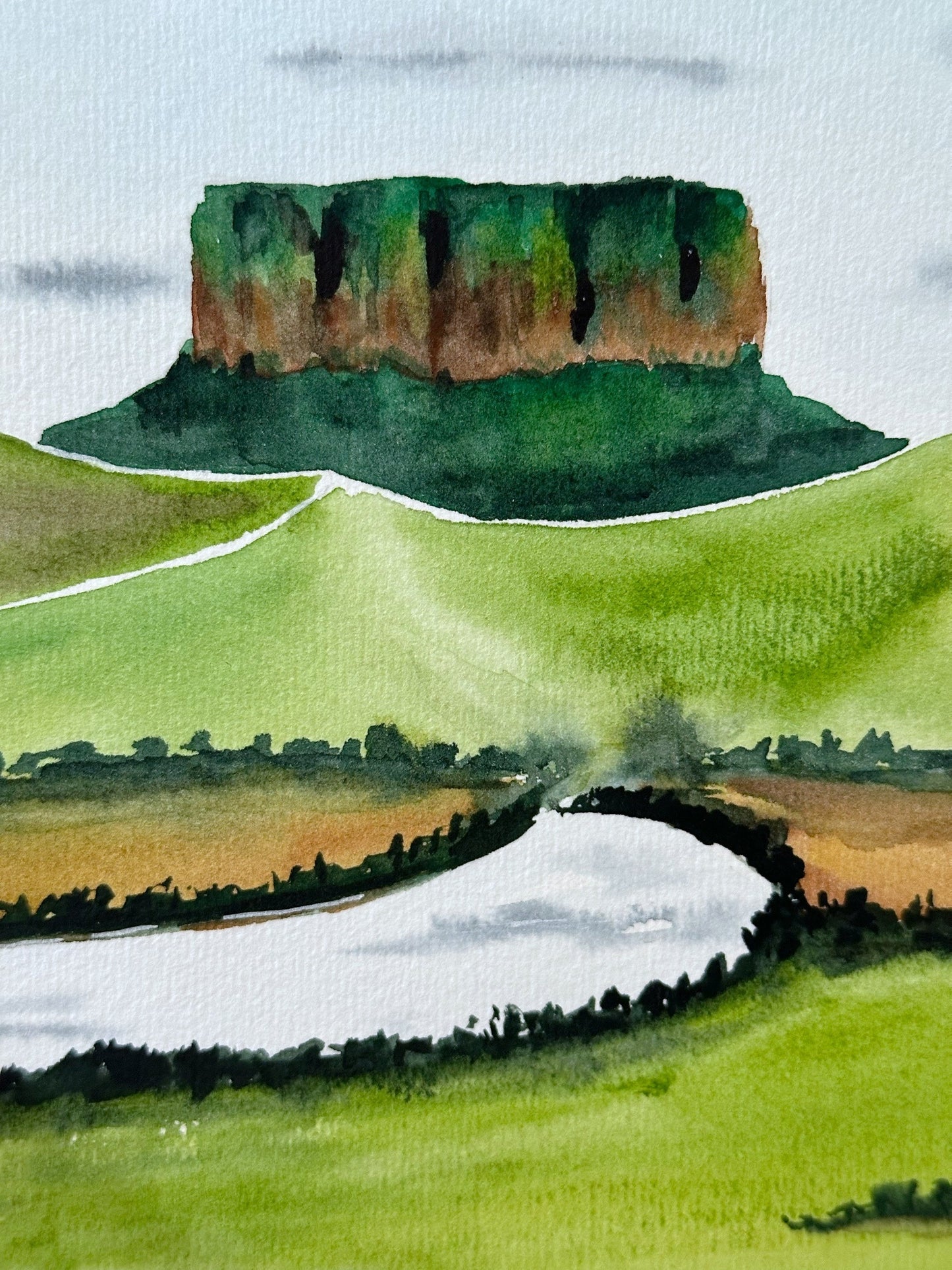 Tepuy