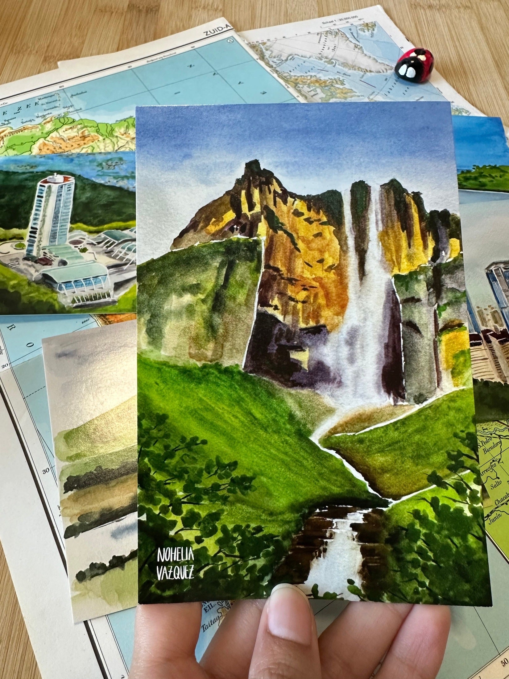 Venezuela Postcard Set