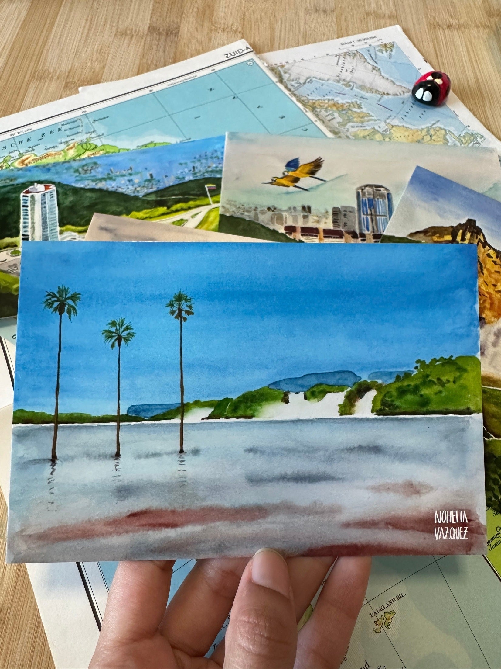 Venezuela Postcard Set