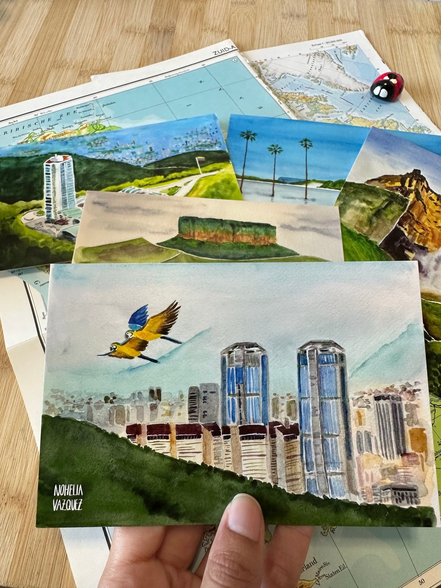 Venezuela Postcard Set