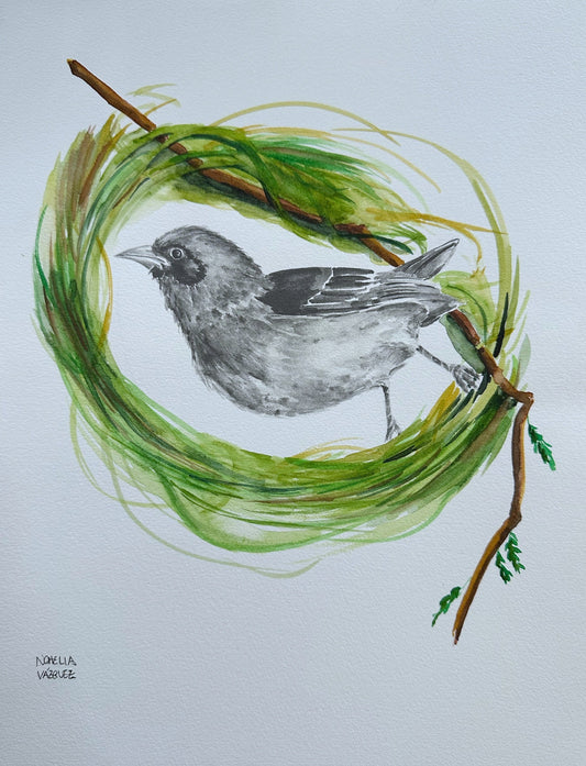 Weaver