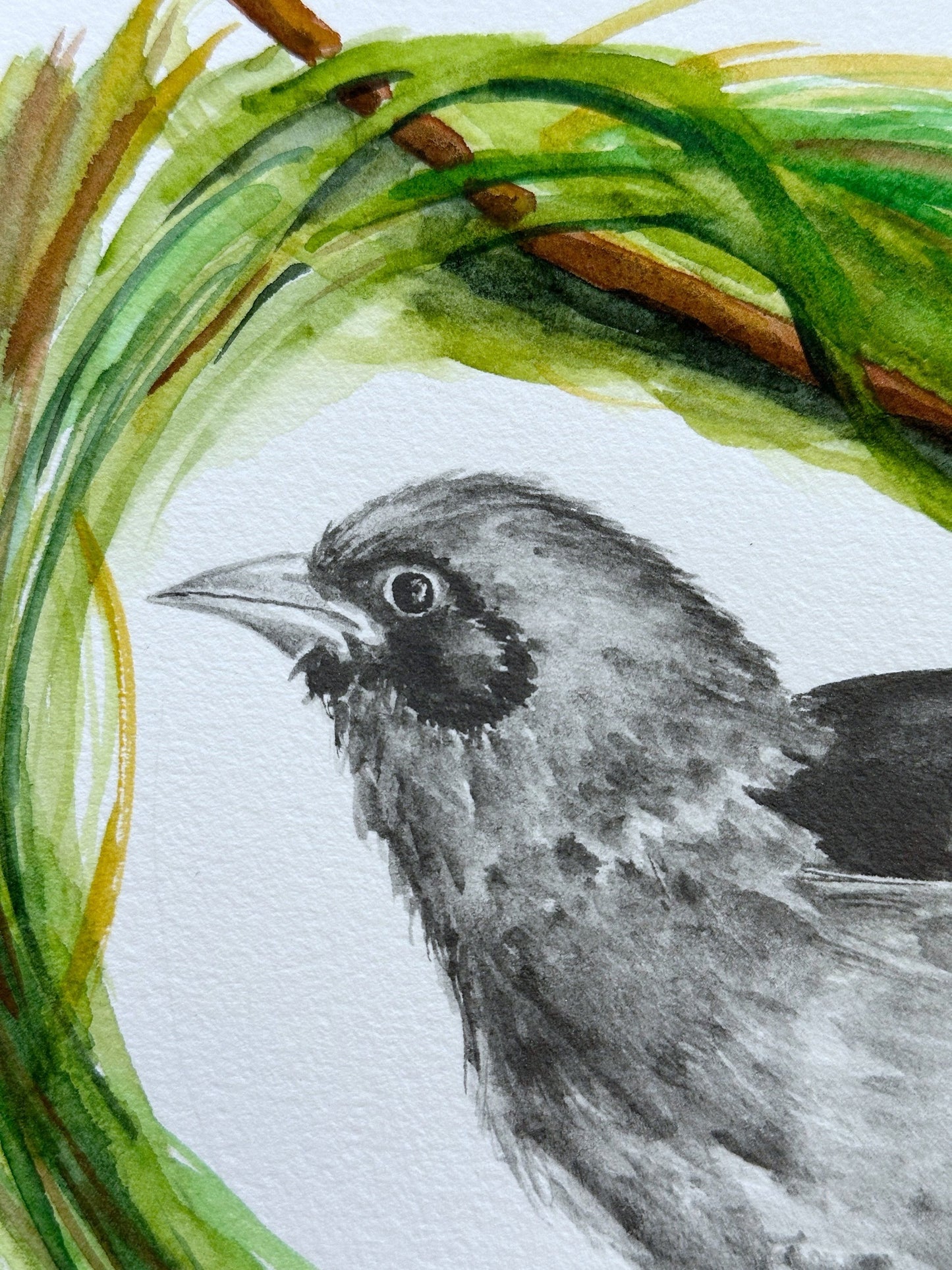Weaver