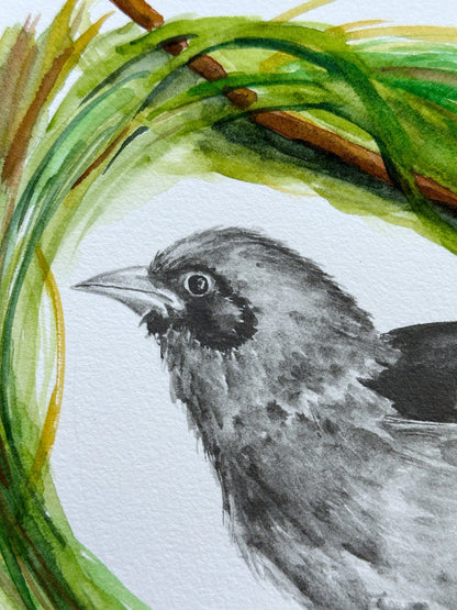 Weaver